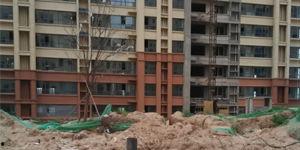 德州楼市爆料最新消息视频,揭秘视频爆料背后的真相  第2张